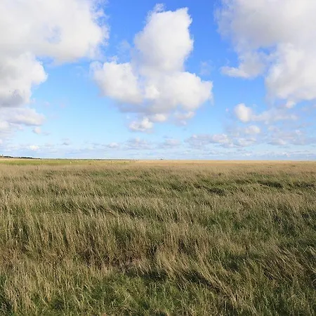 Haus-boehler-landstrasse-whg-01 *